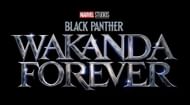 Black Panther: Wakanda Forever releases in theatres on November 11, 2022 (Image via Marvel Studios)
